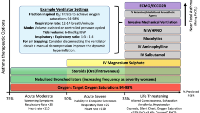 Managing Asthma: Strategies for Overcoming Symptoms and Improving Quality of Life