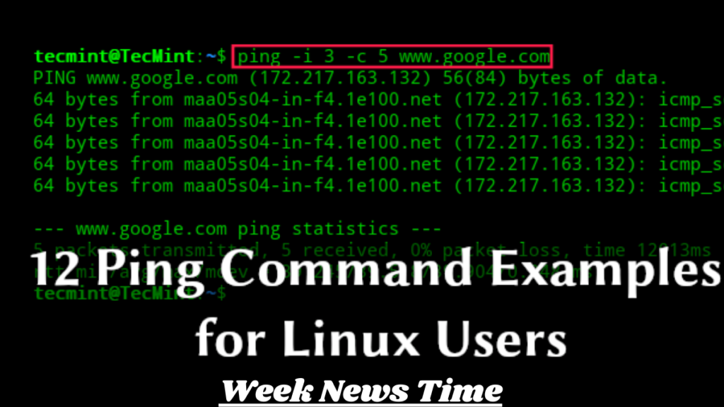 How to Use1 Command Prompt to Ping google.com